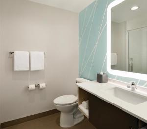 梅肯avid hotels - Macon North, an IHG Hotel的一间带卫生间、水槽和镜子的浴室