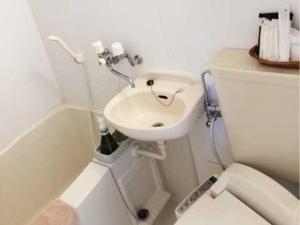 德之岛Yugaku Resort Kimukura - Vacation STAY 89356v的白色的浴室设有水槽和卫生间。