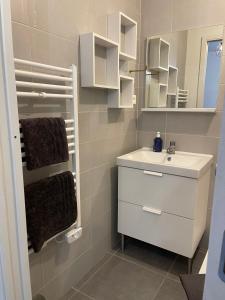 埃皮纳勒Épinal : superbe appartement en plein centre ville的浴室设有白色水槽和镜子