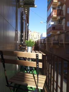 格拉纳达Apartamento Madreselva 36的种植了植物的阳台的木凳