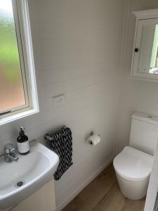 欧尼罗亚125 Church Bay Cabins的一间带水槽和卫生间的浴室以及窗户。