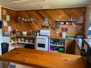 斯特拉恩Strahan Backpackers的厨房设有木墙、炉灶和架子