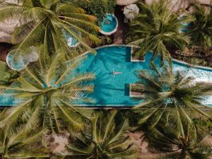 蔻立The Haven Khao Lak - SHA Extra Plus的享有棕榈树游泳池的顶部景致
