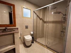 阿可贺巴Traveller Inn Hotel Appartments的带淋浴、卫生间和盥洗盆的浴室