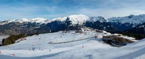 萨莫安斯Samoëns 1600 les cimes的滑雪场上带雪覆盖的山峰