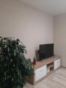 雷泽克内IR Apartment的一间带电视和盆栽植物的客厅