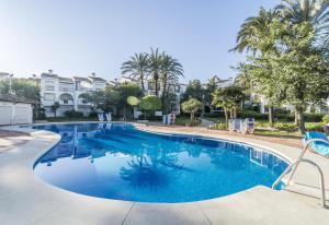 EsteponaHB Comfortable Beachfront Holiday Apartment的度假村内的游泳池,带椅子和棕榈树