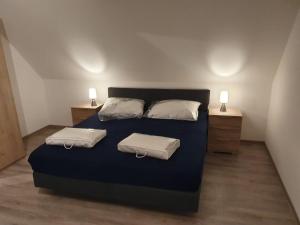 温特贝格Ferienhaus Trudi的一间卧室配有蓝色的床和2个白色枕头