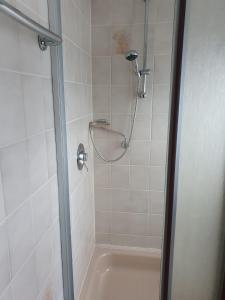 温特贝格Ferienhaus Trudi的浴室里设有玻璃门淋浴