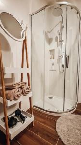 克拉科夫Old Town Suite的带淋浴和镜子的浴室