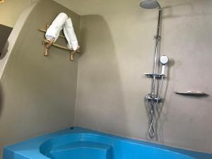 KatunguruEnshama Game Lodge and Campsite的带淋浴的浴室,架子上放着木头动物