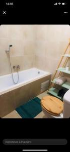 姆布尔Carthago的浴室设有卫生间和一个带梯子的浴缸。