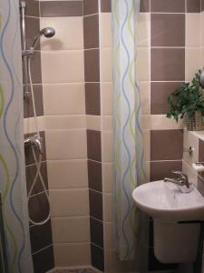 布拉迪斯拉发Apartment Riverside - River View的一间带水槽和淋浴的浴室