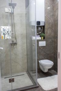 贝尔格莱德Galaxy Apartments的带淋浴和卫生间的浴室