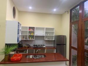 格拉纳达apartamentos Casa Amarilla的厨房配有水槽和冰箱