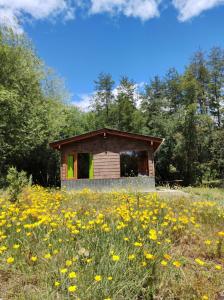 普埃洛湖Riberas del Azul的花田中的小屋
