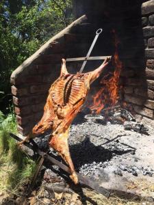 阿卢米内Estancia Quillen Lodge - Hosteria的火鸡在砖炉里做饭
