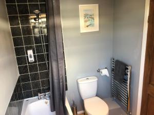 WillastonMoss Cottage的一间带卫生间和淋浴的浴室