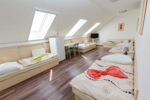 布拉迪斯拉发维茨达酒店的宿舍间设有三张床和一张书桌。