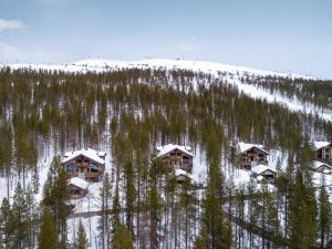 列维Holiday Home Karhunkieppi 9 b by Interhome的享有度假胜地的空中景致,那里有雪覆盖的树木