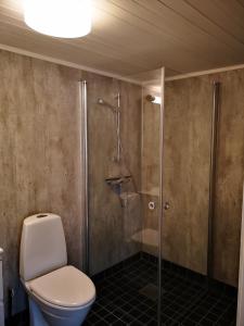 亨宁斯韦尔Henningsvær Guesthouse的一间带卫生间和淋浴的浴室