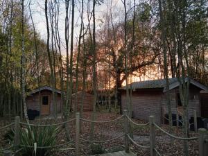 奥尔弗里顿雷丁斯伍德山林小屋露营地的树林中房屋前面的围栏