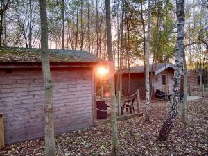 奥尔弗里顿雷丁斯伍德山林小屋露营地的小屋,在树林里设有长凳