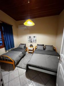 普拉曼塔4 Seasons Tzoumerka Senses的一间卧室配有两张床和吊灯。
