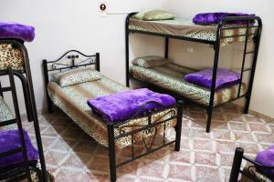 伯利恒和平之家酒店的客房设有三张双层床和紫色靠垫