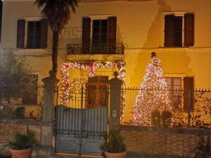 阿梅利亚44 - Mu Ni的黄色房子前面的圣诞树