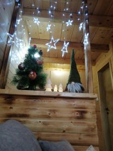 维尔蒂尼克Brvnara Fruska Koliba的墙上有圣诞树和灯的房间