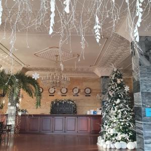 克列缅丘格克莱明酒店的一间房间中间的圣诞树