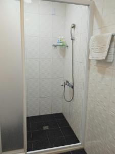 Binlang台東-卑南綠隧-民宿 --- Green Tunnel BnB的浴室里设有玻璃门淋浴