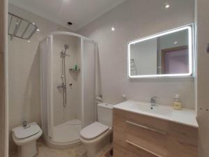 哈兰迪雅·德·拉·维尔Apartamento La Relojera 1的浴室配有卫生间、淋浴和盥洗盆。