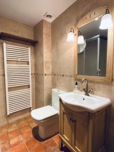 拉武埃尔达Apartamentos Turismo Rural Casa Alfós的一间带卫生间、水槽和镜子的浴室