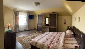 诺瓦齐- 斯特拉尼Pensiunea Novis的一间卧室设有一张大床和一个窗户。