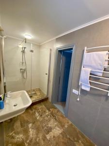 捷尔诺波尔萨迪巴里索瓦旅馆的一间带水槽和淋浴的浴室