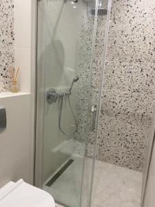 切尔尼戈夫Magic Days Apartments的浴室里设有玻璃门淋浴