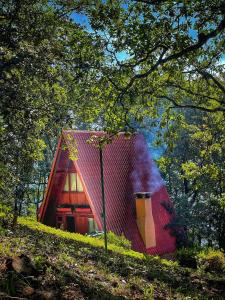 兹拉胡恩Zirahuen Forest and Resort的山顶上一座红色的小房子