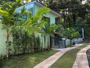 曼努埃尔安东尼奥Casa Encantada offers you Two-Bedroom House, 1 Tiny Apartment & 3 Double Rooms的围栏旁的棕榈树房屋