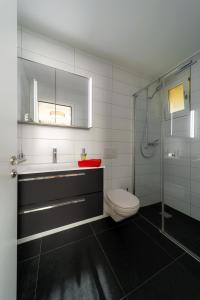 利德阿尔卑斯Chalet Altishofen的浴室配有卫生间、盥洗盆和淋浴。