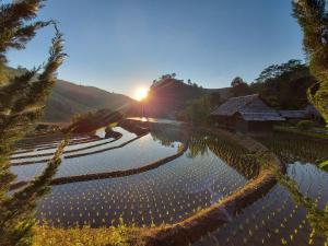 Ban Mae Pan NoiKowitFarmstay的相册照片