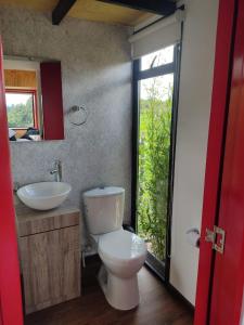 TenjoQuyé Tiny House的一间带卫生间和水槽的浴室