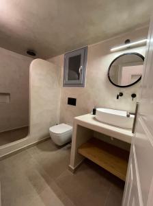 皮尔戈斯Ampelos Executive Houses的一间带水槽、卫生间和镜子的浴室