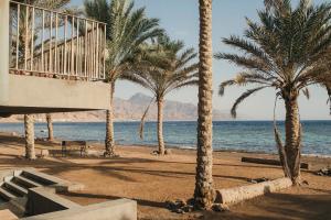 达哈布达哈布达尔公寓式酒店的海滩上一棵棕榈树和大海