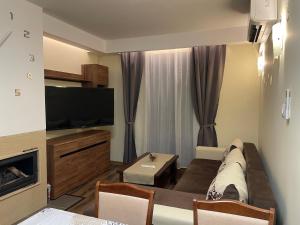 班斯科Grand Bansko 1 Family apartment B206的带沙发和平面电视的客厅