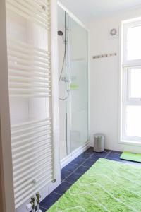 克诺克－海斯特luxe cottage knokke heist的带淋浴的浴室和绿色地毯。
