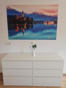 拉多夫吉卡Life Hostel Slovenia的墙上有画作的白色梳妆台