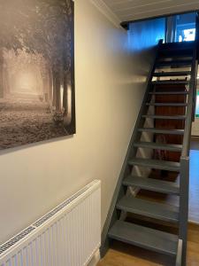 马尔肖Inselhaus Malchow的墙上画画的楼梯