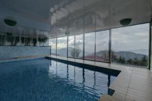 Tarika Resort & Spa , Chail内部或周边的泳池